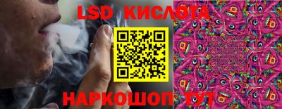 прущие грибы Коммунар