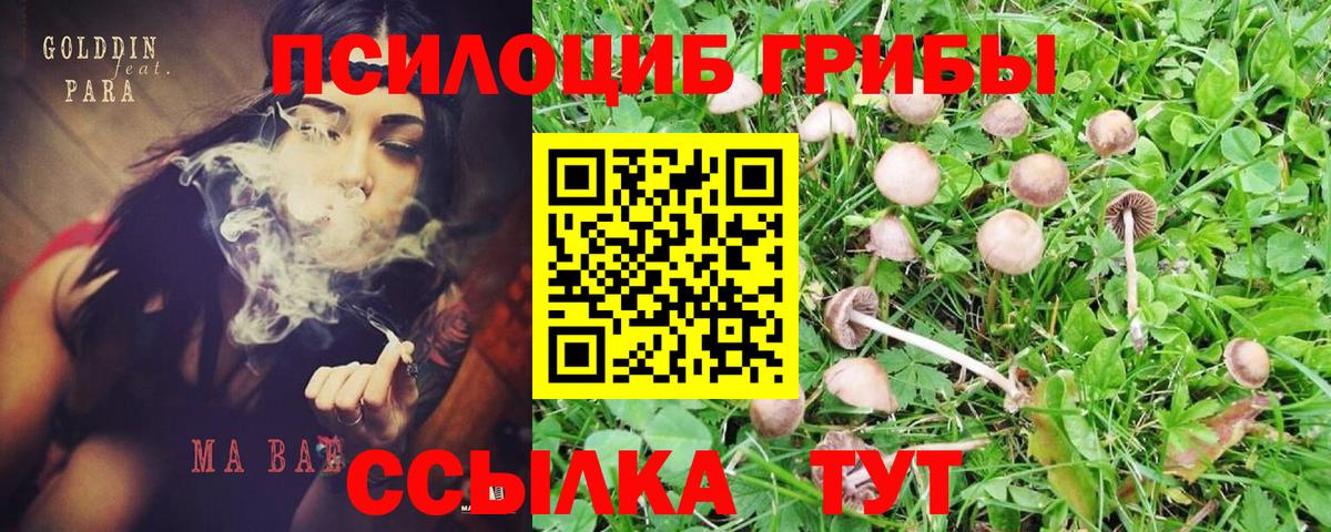 Галлюциногенные грибы MAGIC MUSHROOMS Кашира
