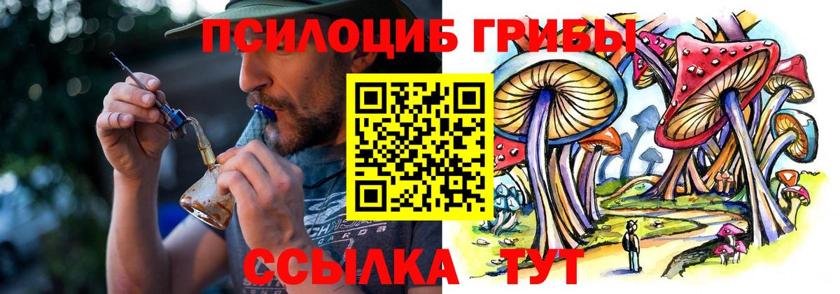 Галлюциногенные грибы Magic Shrooms  Вход с VPN  магазин  наркотиков  Кашира 